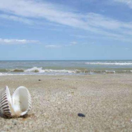 Hr Vapore Gatteo Mare Gatteo a Mare Zewnętrze zdjęcie